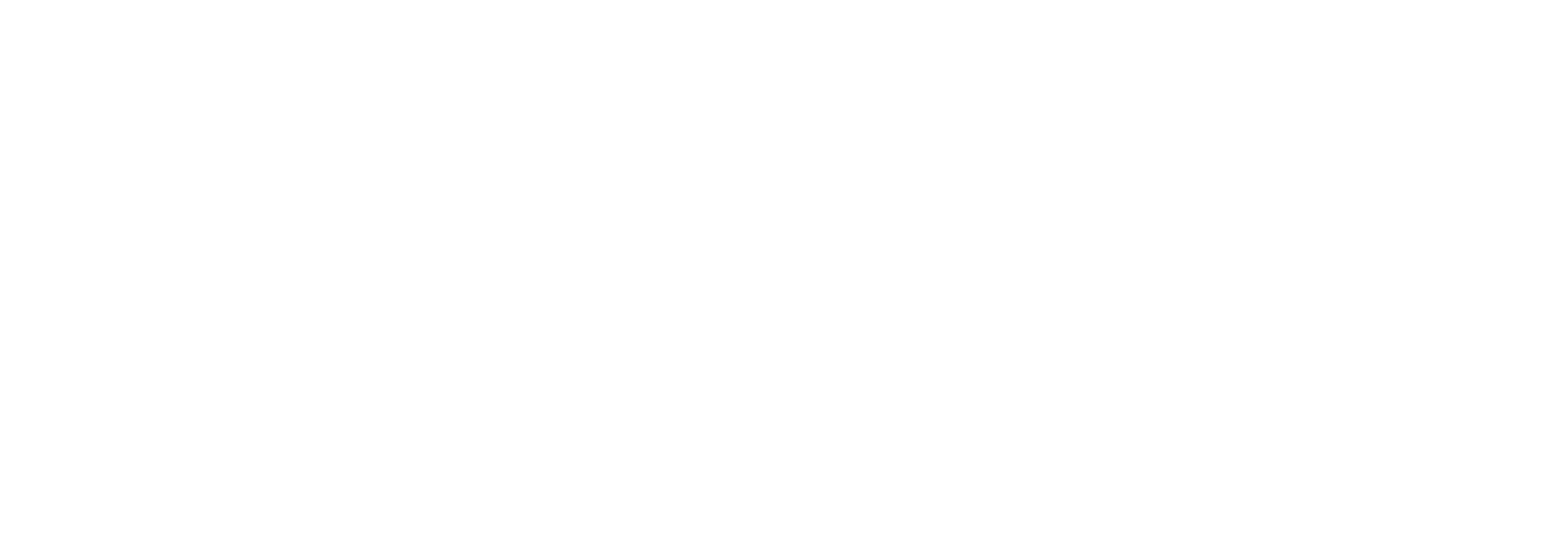 IL CIGNO